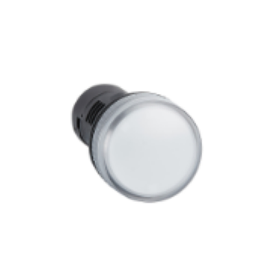 XB2BVMD1LC-Schneider Electric